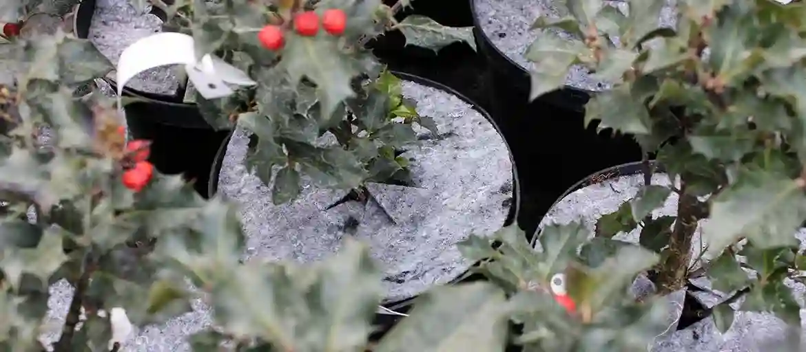 Disques non tissés pour pots